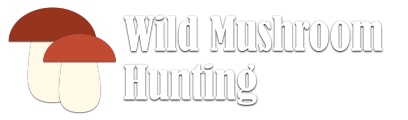 Wild Mushroom Hunting logo